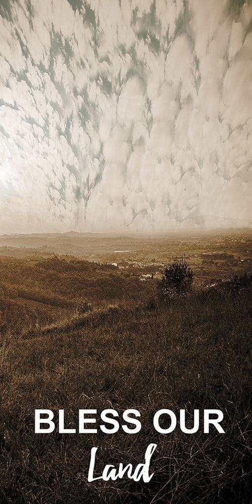 Evening Cool art print by Sheldon Lewis for $57.95 CAD