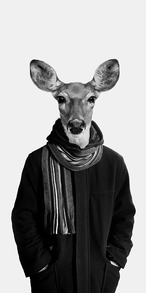 Big Buck BW art print by Sheldon Lewis for $57.95 CAD
