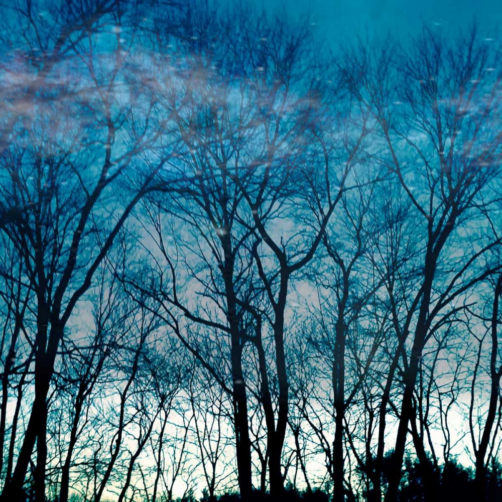 Blue Mountain art print by Sheldon Lewis for $57.95 CAD