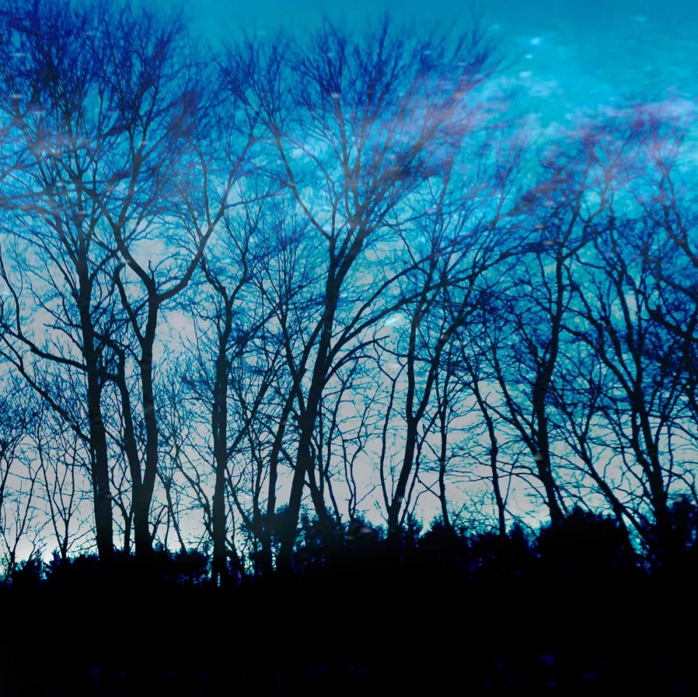 Blue Mountain 1 art print by Sheldon Lewis for $57.95 CAD