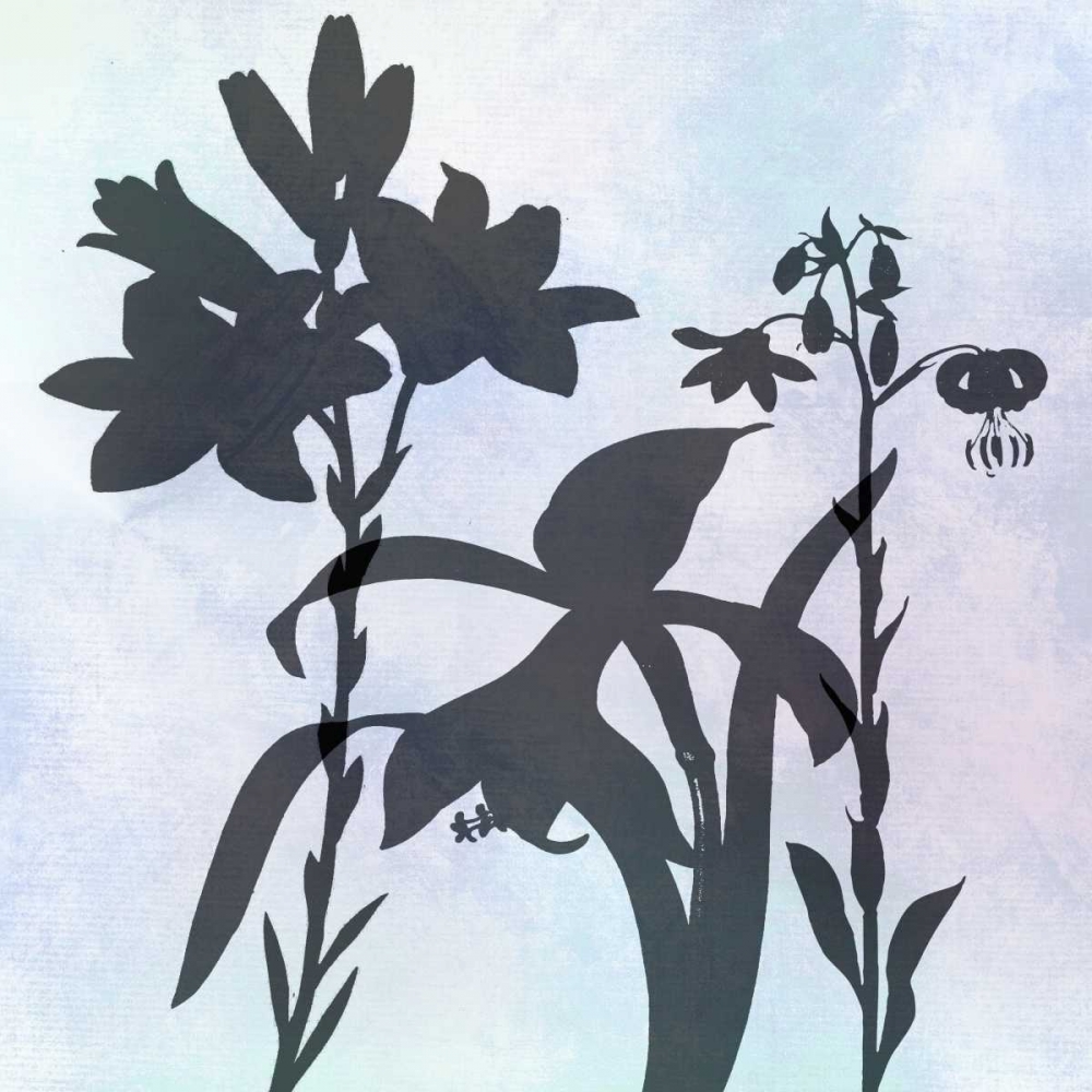 Silhoutette In Bloom art print by Sheldon Lewis for $57.95 CAD
