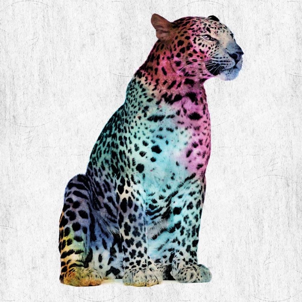 Majestic Cat art print by Sheldon Lewis for $57.95 CAD