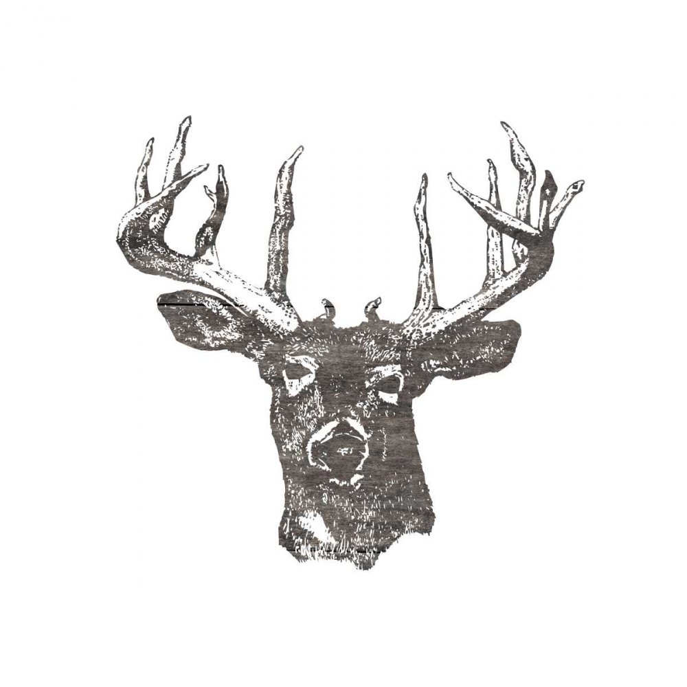 Big Buck art print by Sheldon Lewis for $57.95 CAD
