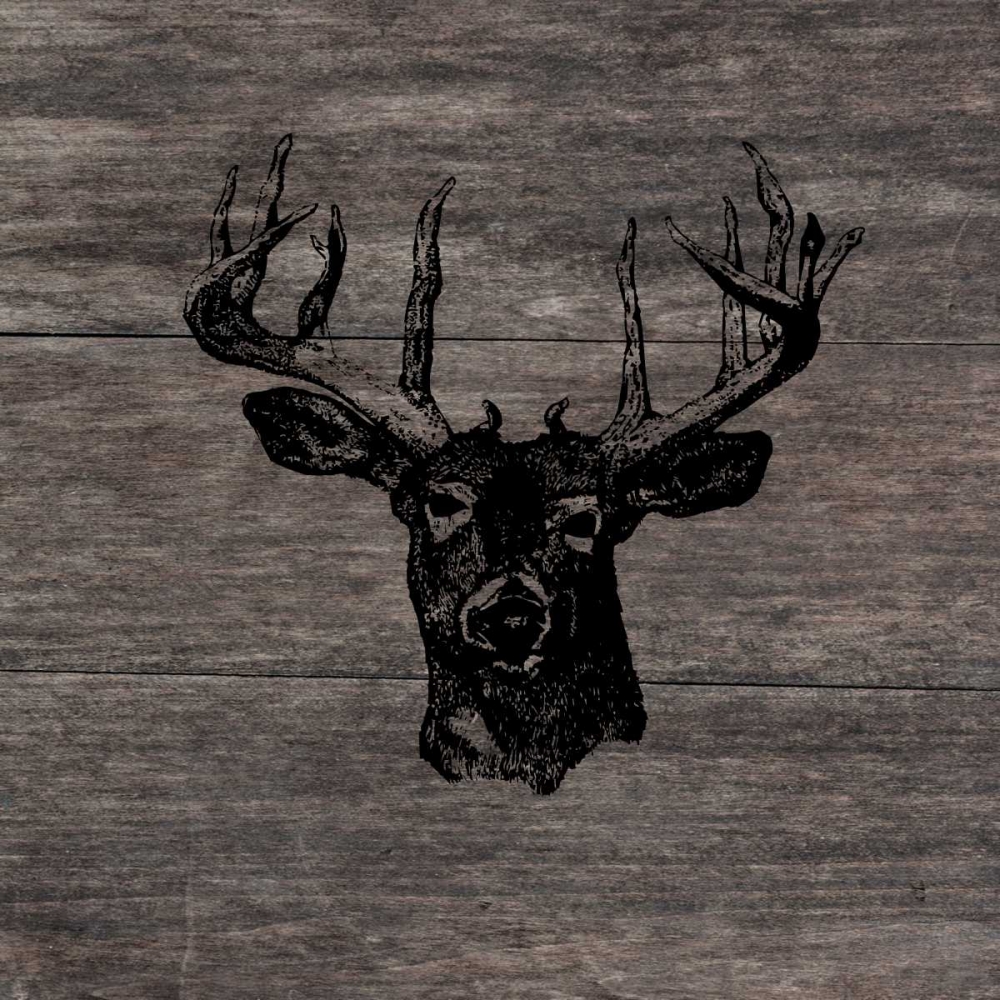 Buck art print by Sheldon Lewis for $57.95 CAD