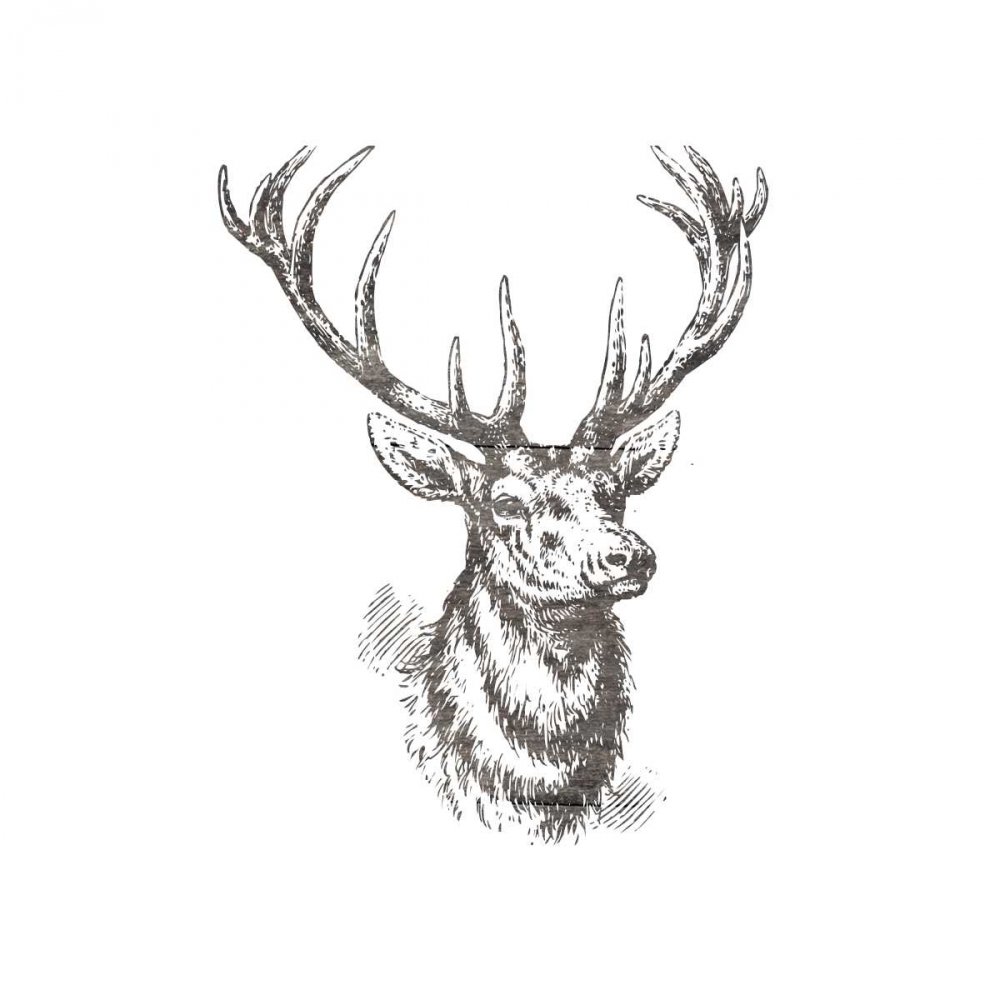 Big Buck 2 art print by Sheldon Lewis for $57.95 CAD