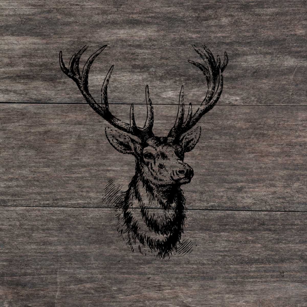 Another Buck art print by Sheldon Lewis for $57.95 CAD