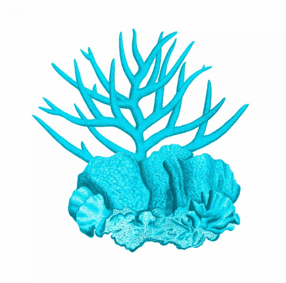 Blue Coral 1 art print by Sheldon Lewis for $57.95 CAD