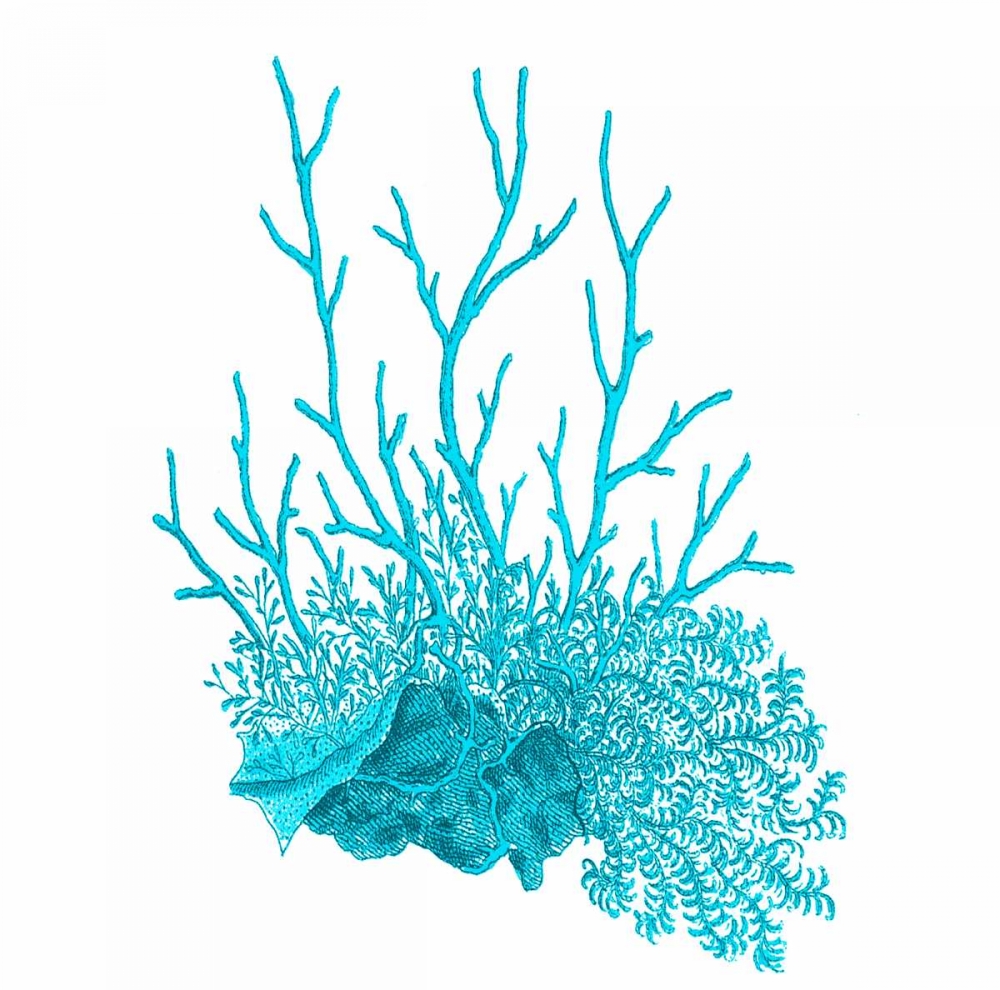 Blue Coral 2 art print by Sheldon Lewis for $57.95 CAD