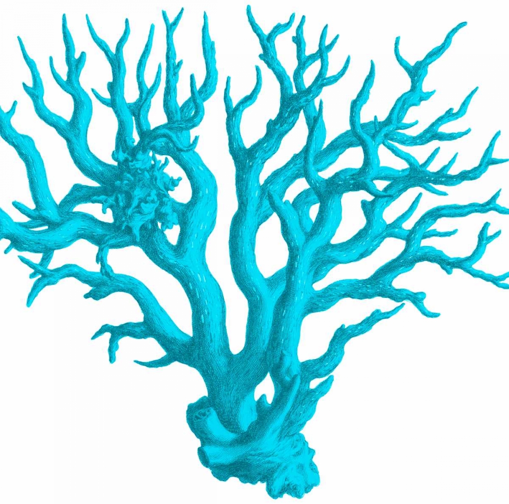 Blue Coral 3 art print by Sheldon Lewis for $57.95 CAD