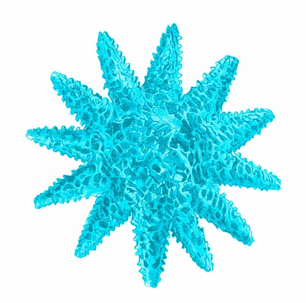 Blue Coral 5 art print by Sheldon Lewis for $57.95 CAD