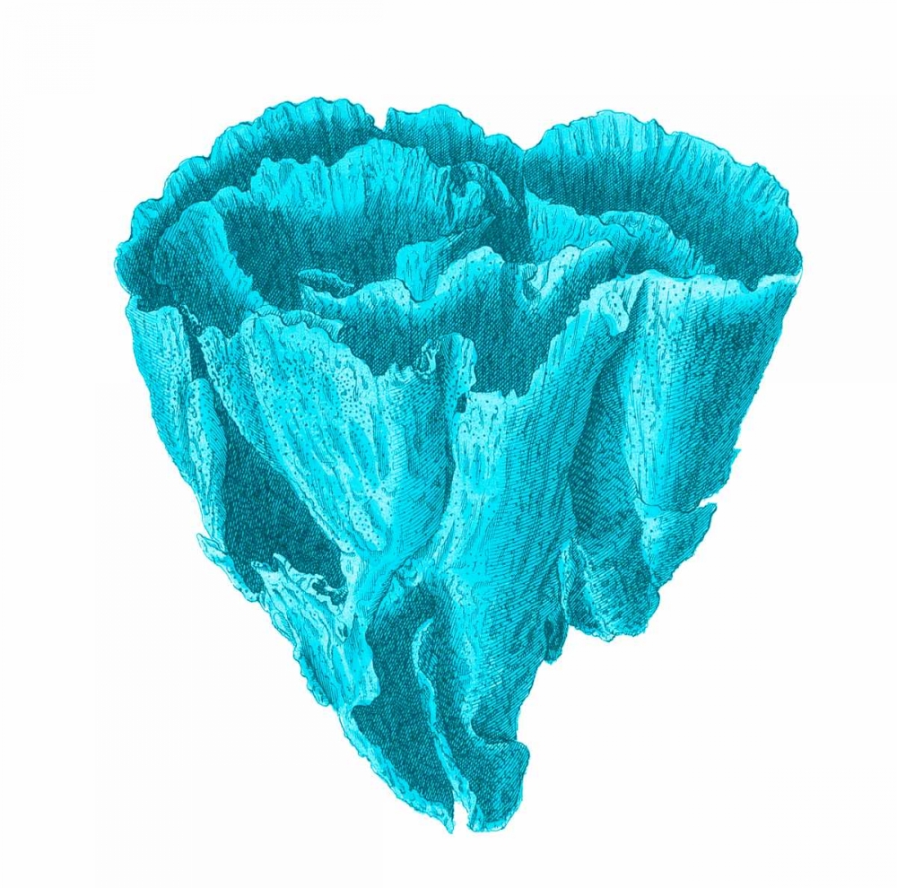 Blue Coral 6 art print by Sheldon Lewis for $57.95 CAD