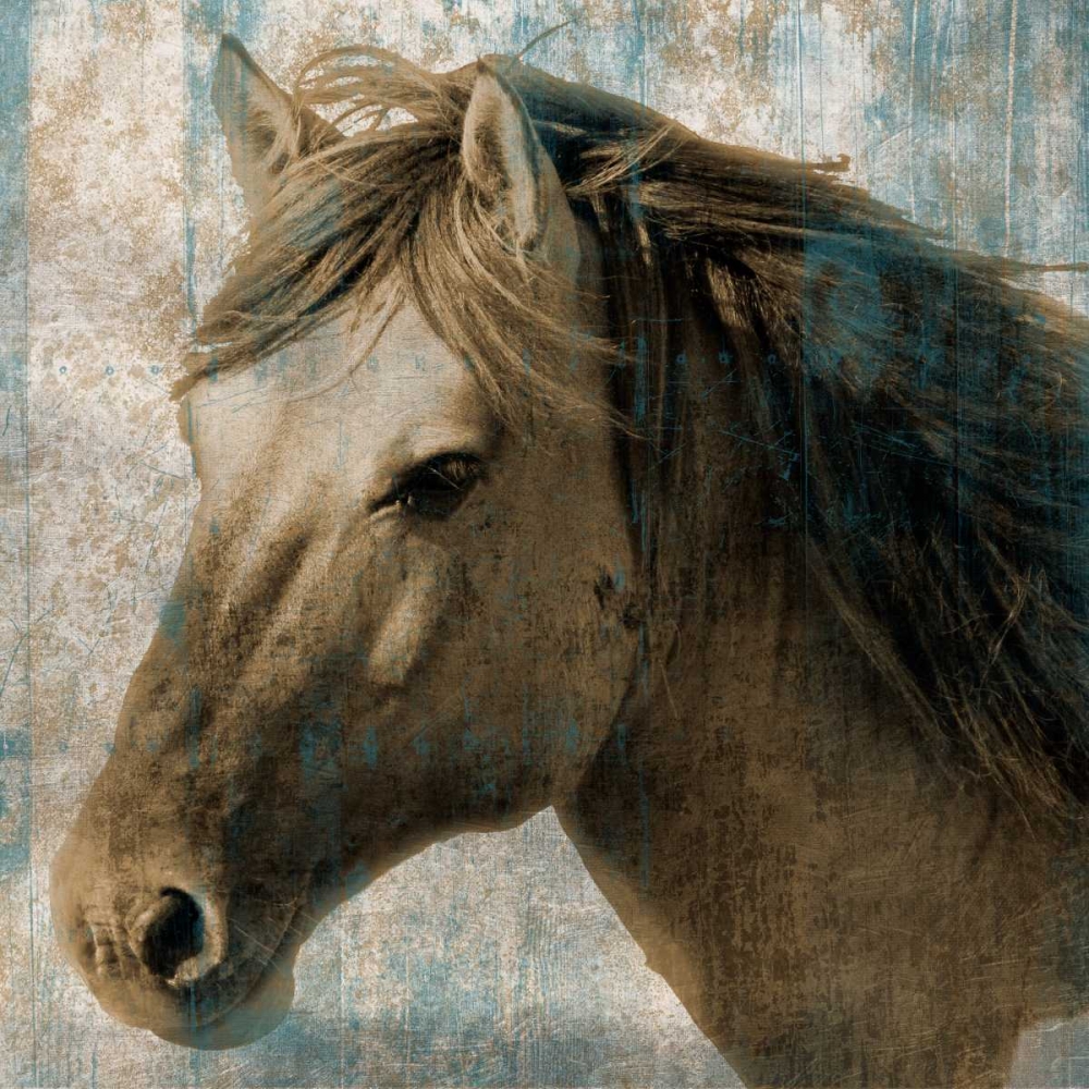 Spirit art print by Sheldon Lewis for $57.95 CAD