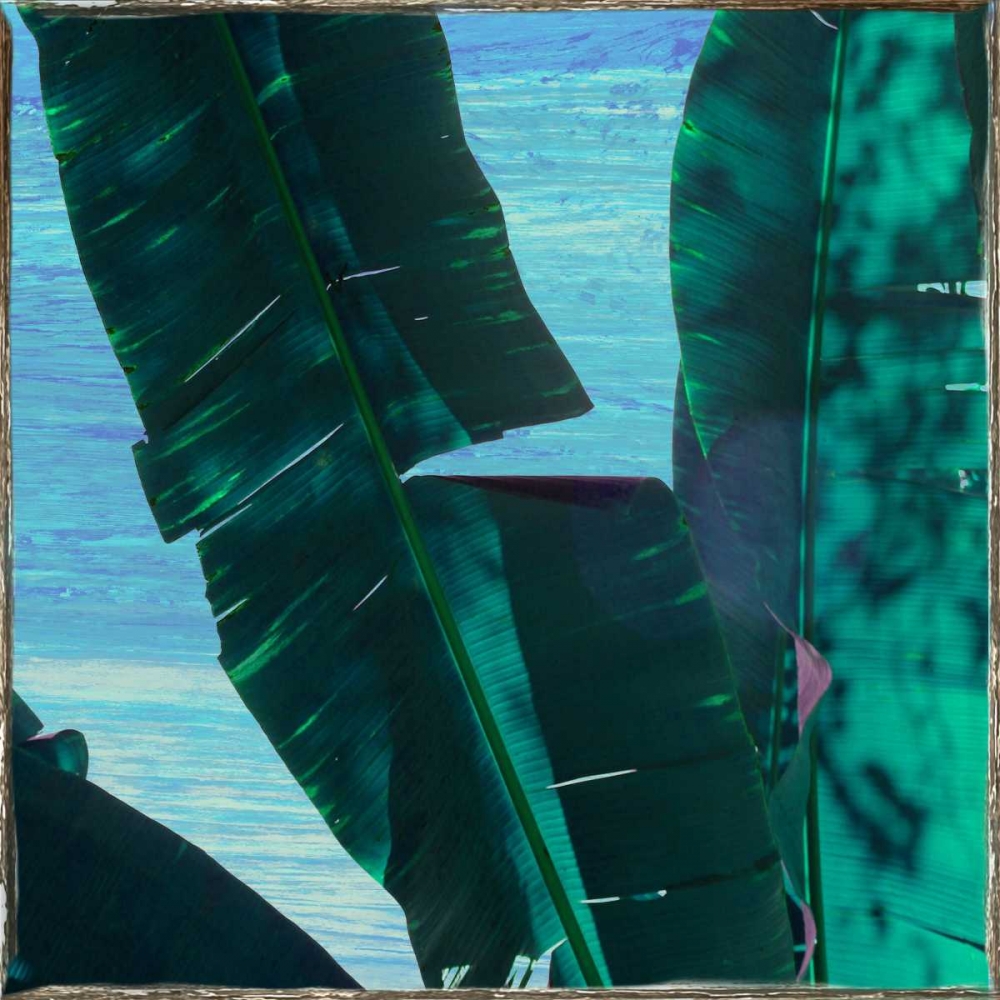 Tropical Vibes art print by Sheldon Lewis for $57.95 CAD