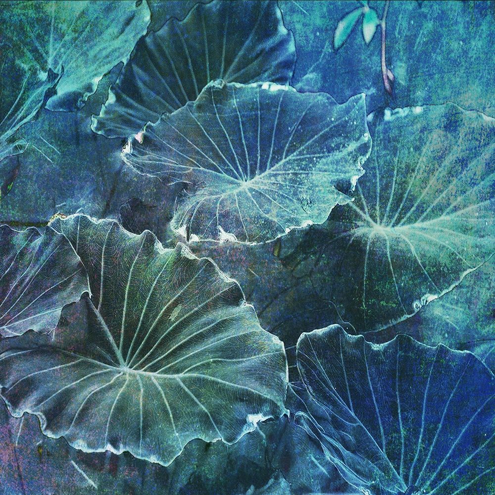 Mello Tropical 2 art print by Sheldon Lewis for $57.95 CAD