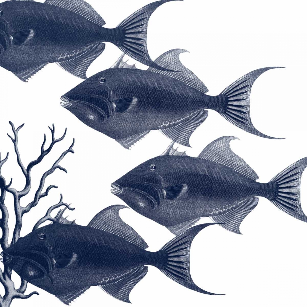 Coastal Symphony art print by Sheldon Lewis for $57.95 CAD