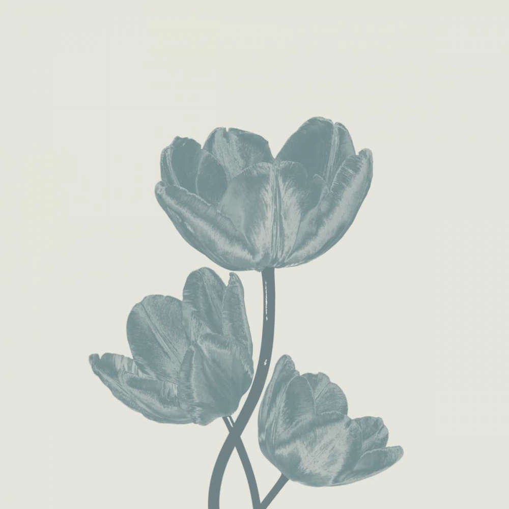 Pure 1 art print by Sheldon Lewis for $57.95 CAD
