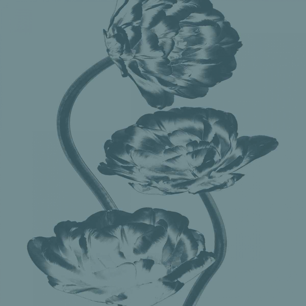 Pure 2 art print by Sheldon Lewis for $57.95 CAD