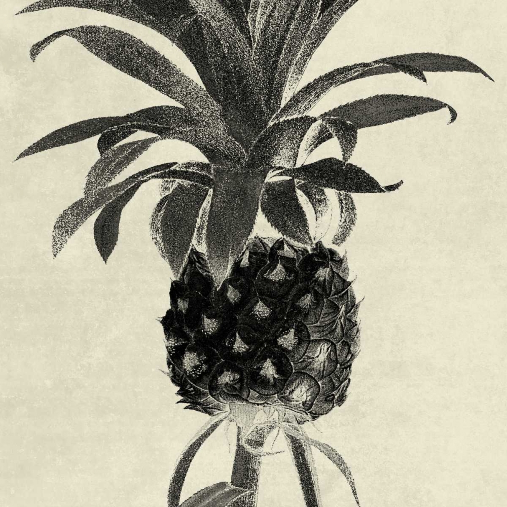 Terrarium Pine 1 art print by Sheldon Lewis for $57.95 CAD