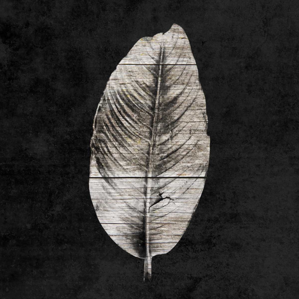 Leaf By The Spirit art print by Sheldon Lewis for $57.95 CAD