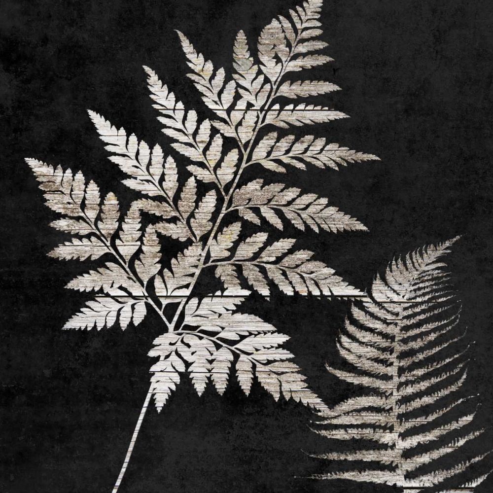 Leaf In The Moment 2 art print by Sheldon Lewis for $57.95 CAD