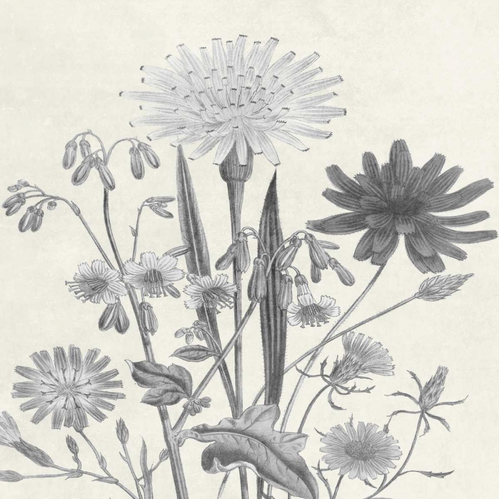 Terrarium Flower art print by Sheldon Lewis for $57.95 CAD