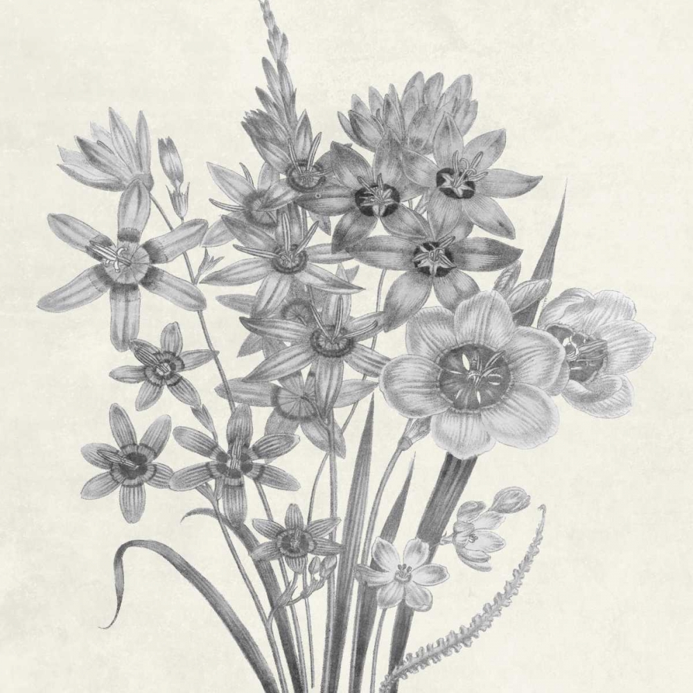 Terrarium Floral art print by Sheldon Lewis for $57.95 CAD