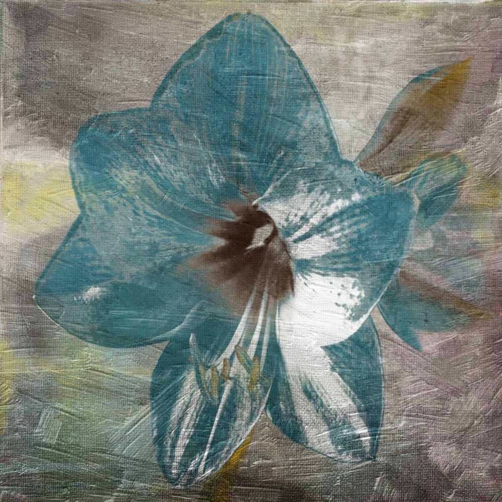 Vibrany Lily art print by Sheldon Lewis for $57.95 CAD