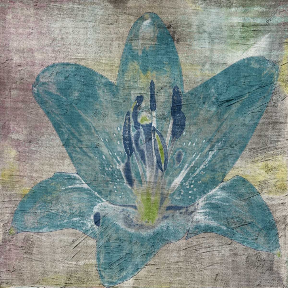 Vibrany Lily 2 art print by Sheldon Lewis for $57.95 CAD