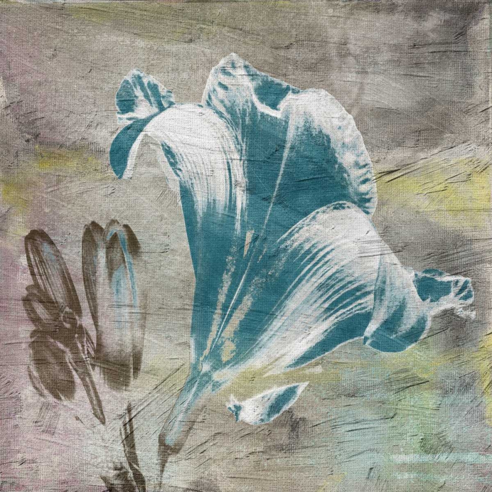 Vibrany Lily 3 art print by Sheldon Lewis for $57.95 CAD