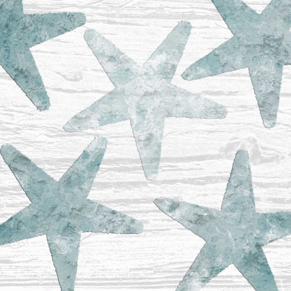 Coastal Star Cemented 1 art print by Sheldon Lewis for $57.95 CAD