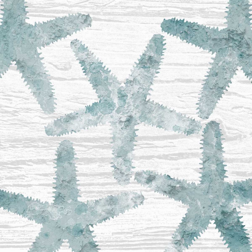 Coastal Star Cemented 2 art print by Sheldon Lewis for $57.95 CAD