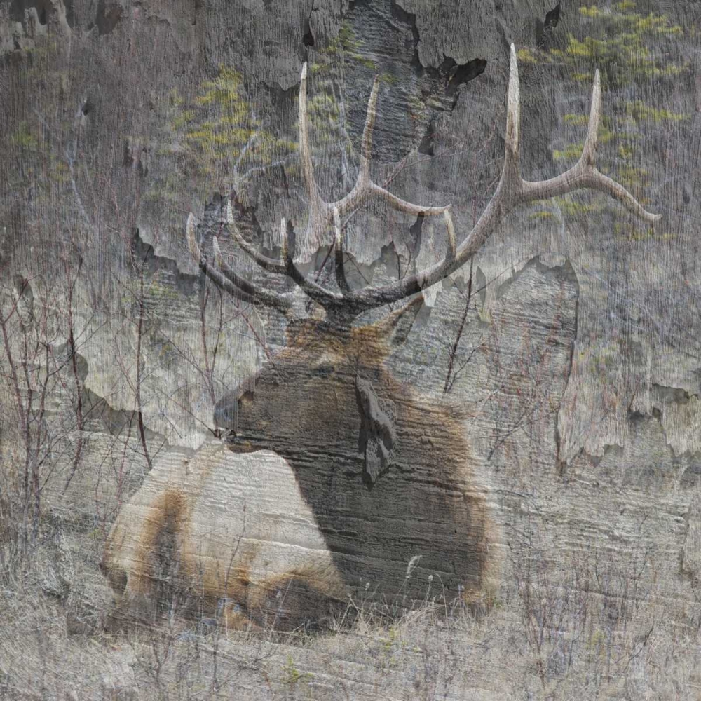 Out In The Wall art print by Sheldon Lewis for $57.95 CAD