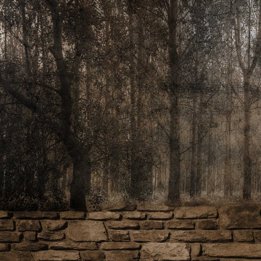 Stone Wall Landscape art print by Sheldon Lewis for $57.95 CAD
