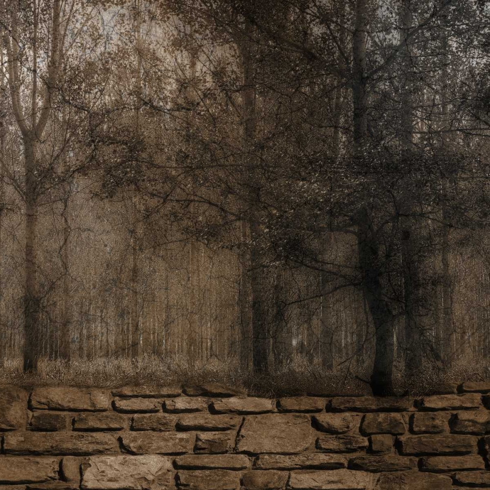 Stone Wall Landscape 2 art print by Sheldon Lewis for $57.95 CAD
