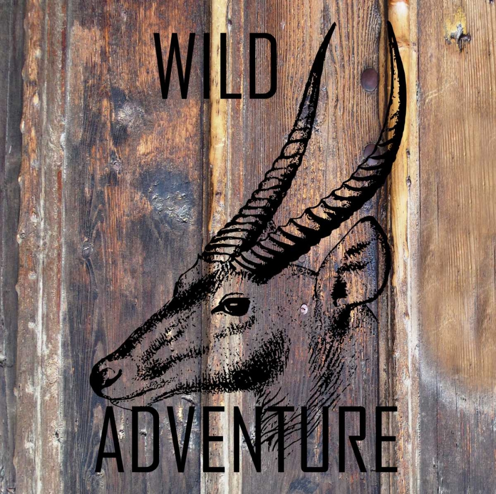 Wild Adventure art print by Sheldon Lewis for $57.95 CAD