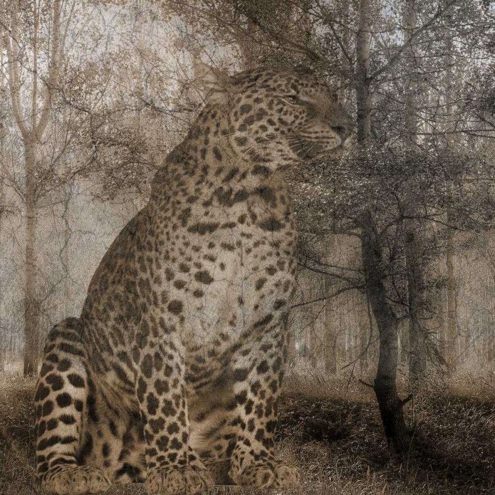 Wild Jungle 1 art print by Sheldon Lewis for $57.95 CAD