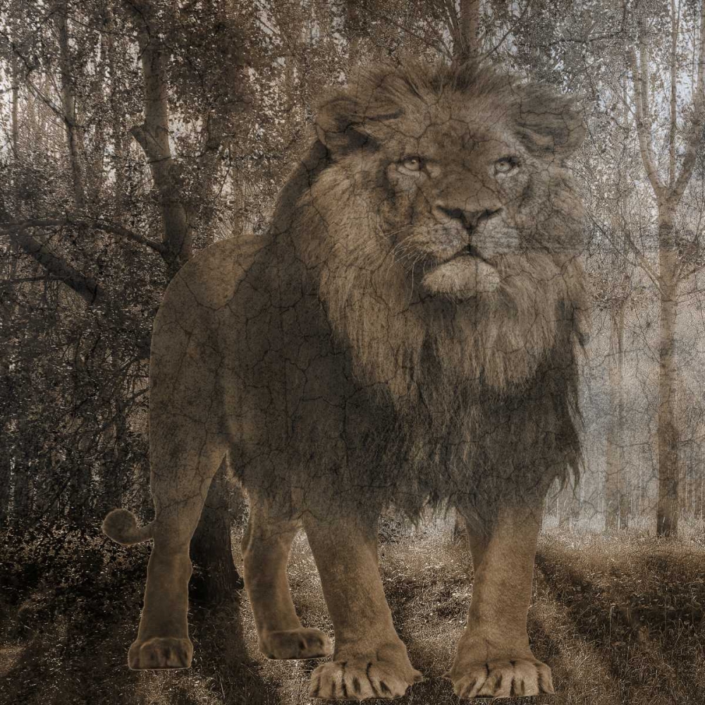 Wild Jungle 2 art print by Sheldon Lewis for $57.95 CAD