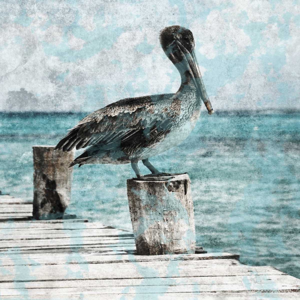 Coastal Pride art print by Sheldon Lewis for $57.95 CAD
