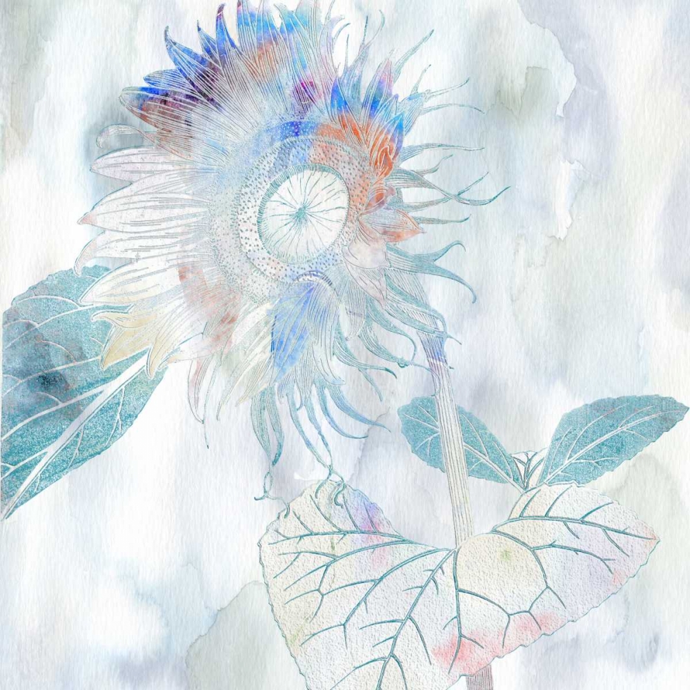 Paint Sector art print by Sheldon Lewis for $57.95 CAD