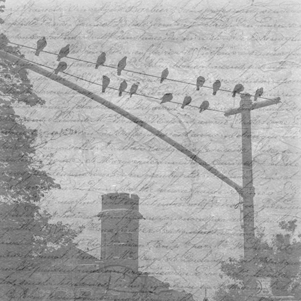 Birds In The Brooklyn Sky art print by Sheldon Lewis for $57.95 CAD