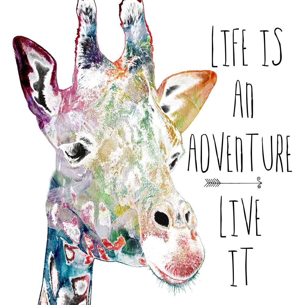 Adventures art print by Sheldon Lewis for $57.95 CAD