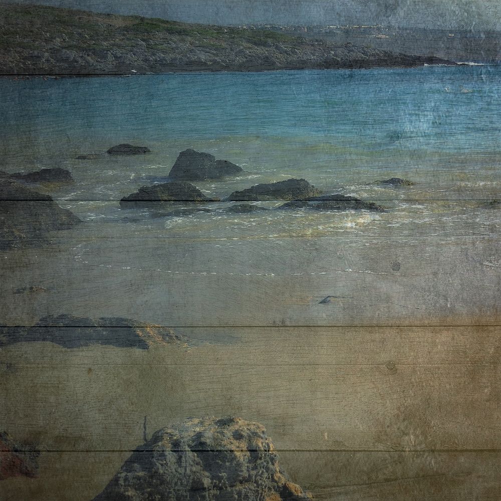 Drift Wood art print by Sheldon Lewis for $57.95 CAD