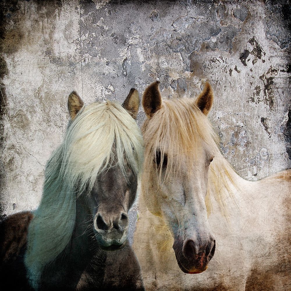 BFF art print by Sheldon Lewis for $57.95 CAD