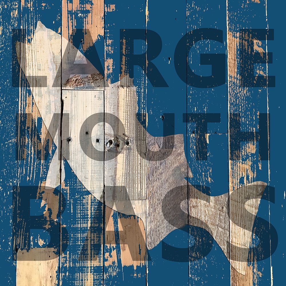 Bass art print by Sheldon Lewis for $57.95 CAD