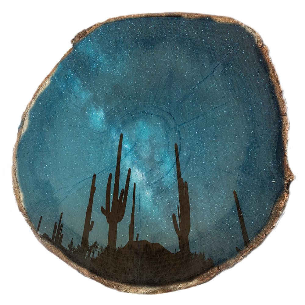 Natural Wood Space 1 art print by Sheldon Lewis for $57.95 CAD