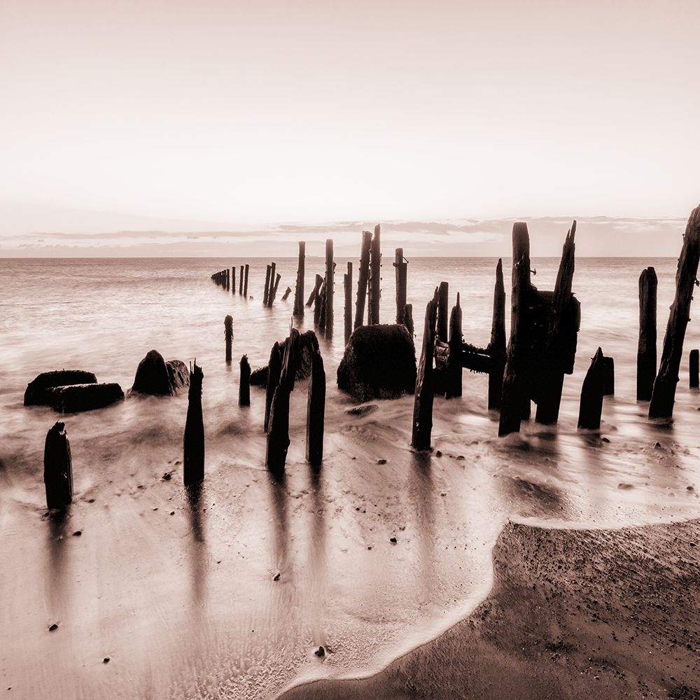Seascape Escape art print by Sheldon Lewis for $57.95 CAD
