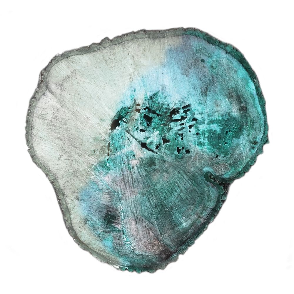 Emerald Tree Rings 1 art print by Sheldon Lewis for $57.95 CAD