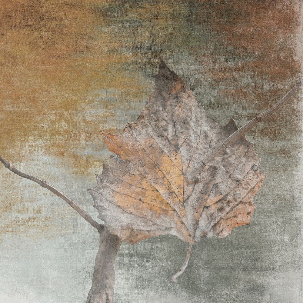 A Moment With Nature 1 art print by Sheldon Lewis for $57.95 CAD