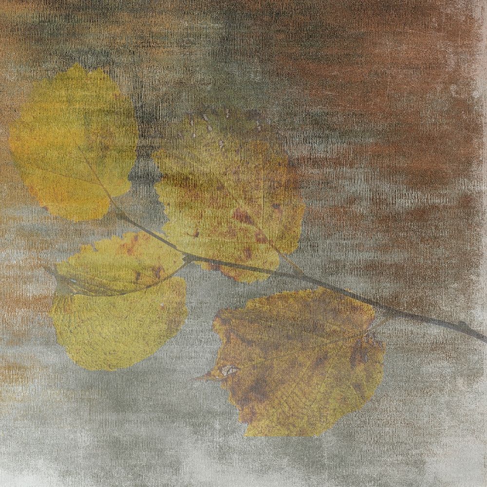 A Moment With Nature 2 art print by Sheldon Lewis for $57.95 CAD