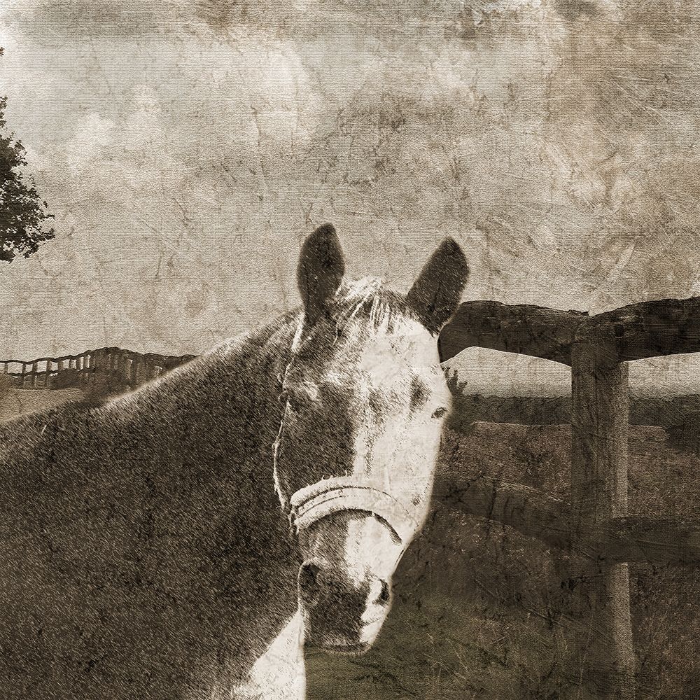 Riding West art print by Sheldon Lewis for $57.95 CAD